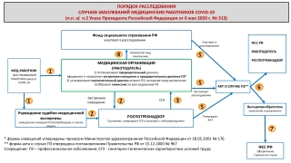 Схема расследования COVID-19  - п а