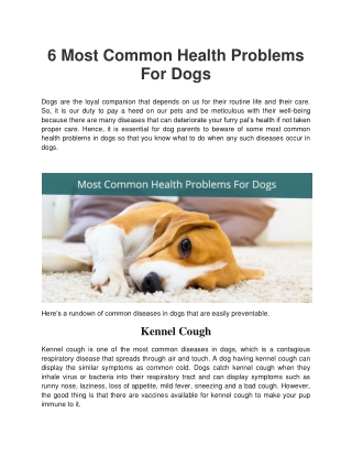 6 Most Common Health Problems For Dogs