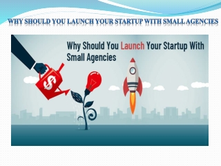 Why Should you Launch your Startup with Small Agencies?