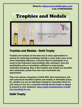 Affordable Trophies and Medals - Delhi Trophy