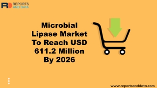 Microbial Lipase Market Global Industry Analysis and Opportunity Assessment 2020