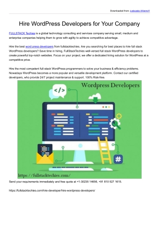 Hire WordPress Developers For your Company