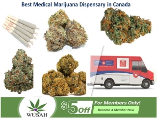 Wusah - Buy the Best Medical Marijuana Dispensary in Canada