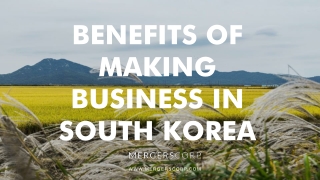 Benefits of Making Business in South Korea | Buy & Sell Business