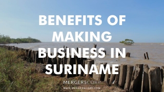 Benefits of Making Business in Suriname | Buy & Sell Business