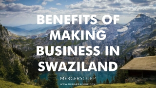 Benefits of Making Business in Swaziland | Buy & Sell Business