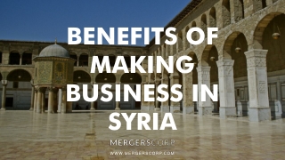 Benefits of Making Business in Syria | Buy & Sell Business