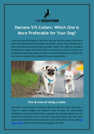 Harness V/S Collars: Which One Is More Preferable for Your Dog?