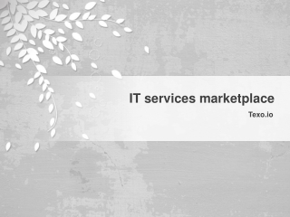 Easy to use IT services marketplace | Texo.io