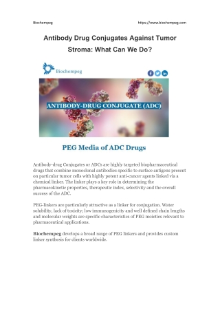 Antibody Drug Conjugates Against Tumor Stroma: What Can We Do?