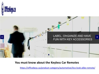 You must know about the Keyless Car Remotes