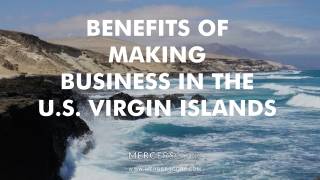 Benefits of Making Business in The U.S. Virgin Is | Buy & Sell Business