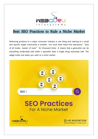 Effective SEO Strategies to Win a Niche Market