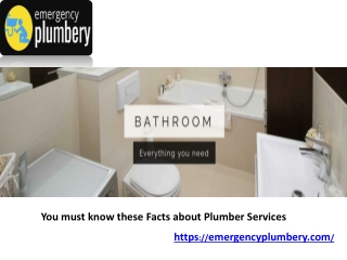 You must know these Facts about Plumber Services