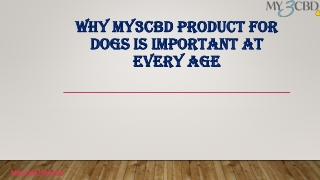 Why MY3CBD Product for Dogs is Important at Every Age