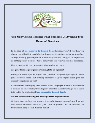 Top Convincing Reasons That Screams Of Availing Tree Removal Services