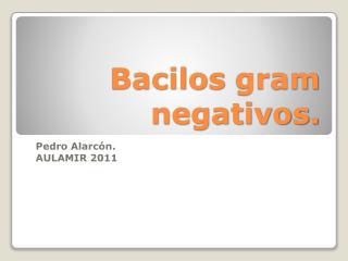 Bacilos gram negativos.