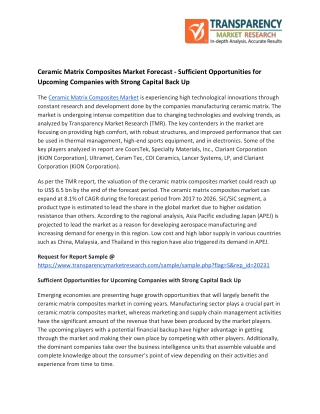 Ceramic Matrix Composites Market Forecast - Sufficient Opportunities for Upcoming Companies with Strong Capital Back Up