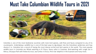 Must Take Columbian Wildlife Tours in 2021