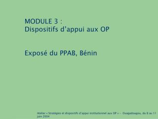 MODULE 3 : Dispositifs d’appui aux OP 	Exposé du PPAB, Bénin