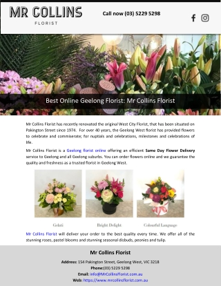 Best Online Geelong Florist: Mr Collins Florist