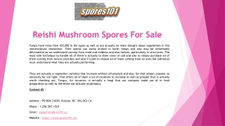 Reishi Mushroom Spores For Sale