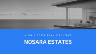 Nosara Estates