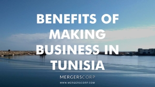 Benefits of Making Business in Tunisia | Buy & Sell Business