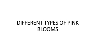 DIFFERENT TYPES OF PINK BLOOMS