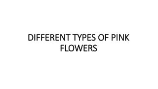 DIFFERENT TYPES OF PINK FLOWERS