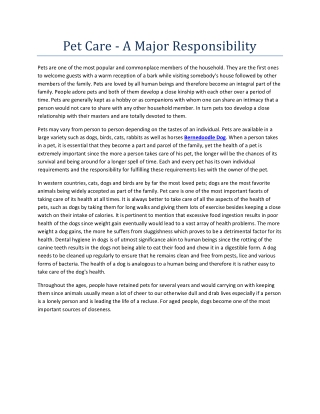 Pet Care - A Major Responsibility