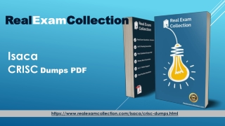 2020 CRISC Actual Tests - CRISC Actual Dumps PDF - Realexamcollection