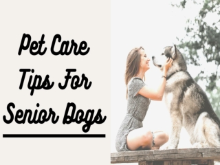 Pet Care Tips for Senior Dogs