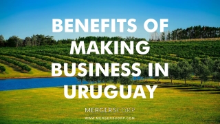 Benefits of Making Business in Uruguay | Buy & Sell Business