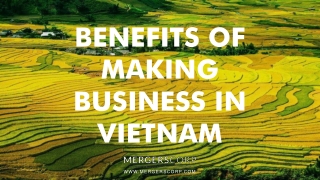 Benefits of Making Business in Vietnam | Buy & Sell Business