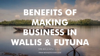 Benefits of Making Business in Wallis and Futuna | Buy & Sell Business