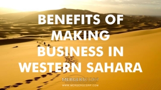 Benefits of Making Business in Western Sahara | Buy & Sell Business