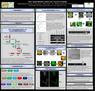 ZINC BIOFORTIFICATION OF CASSAVA TUBERS Shuaibu Kahya ,Narayanan N. Narayanan 1 , Eliana Gaitan - solis , Martin