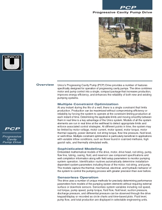 Progressing Cavity Pump (PCP) | Unico LLC