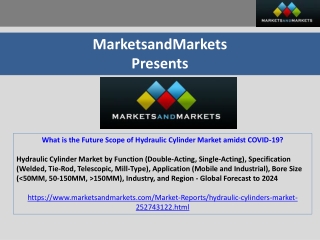 What is the Future Scope of Hydraulic Cylinder Market amidst COVID-19?