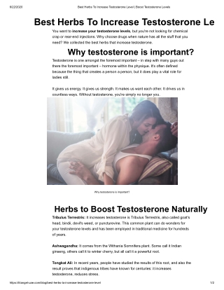 Best Herbs To Increase Testosterone Level