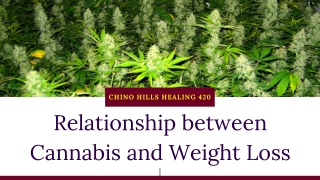 Relationship between Cannabis and Weight Loss
