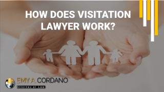 How Does a Visitation Lawyer Work?