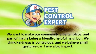 Pest Control Expert Specialist