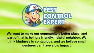 Pest Control Expert Specialist