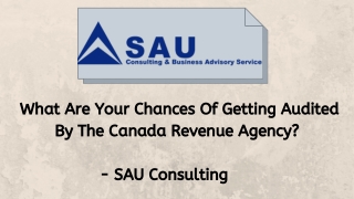 What Are Your Chances Of Getting Audited By The Canada Revenue Agency? - SAU Consulting