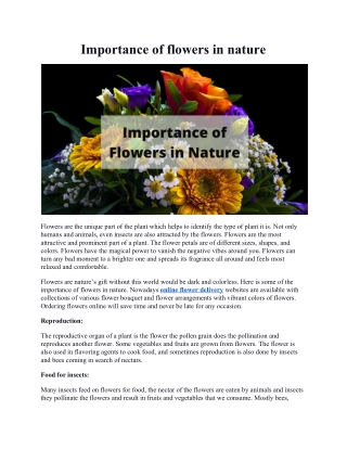 The Importance of Flowers in Nature