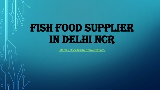 Fish food supplier in Delhi NCR