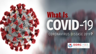 What is Coronavirus (COVID-19)?