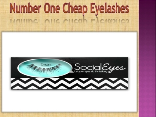 Number One Cheap Eyelashes